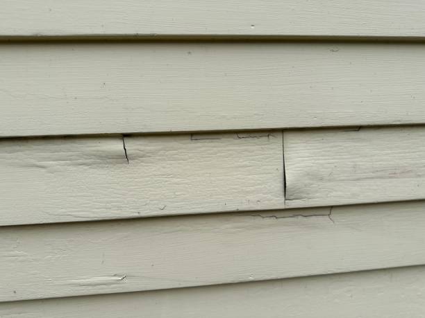 Best Garage Cleanout  in Ovilla, TX
